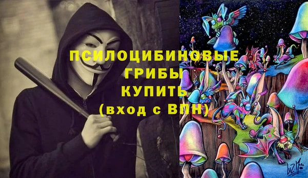 spice Магас