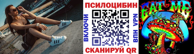 купить наркотик  Уржум  Псилоцибиновые грибы Psilocybe 